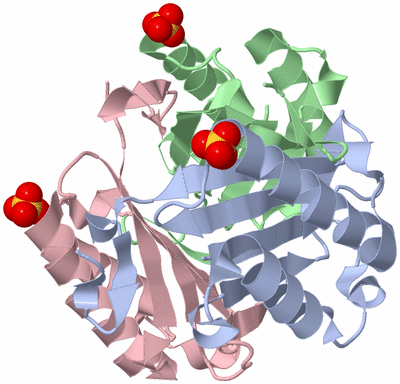 Image Asym./Biol. Unit