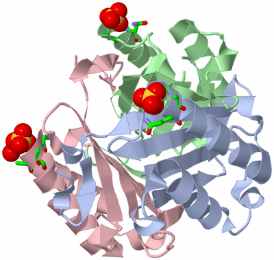 Image Asym./Biol. Unit - sites