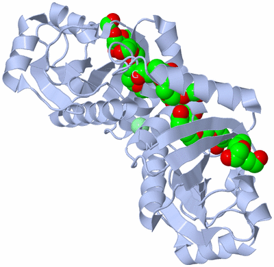 Image Biological Unit 1