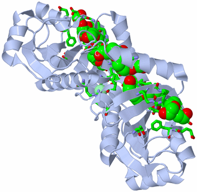 Image Biol. Unit 1 - sites