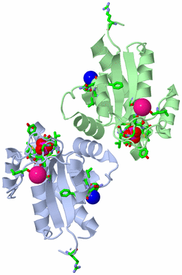 Image Asym./Biol. Unit - sites