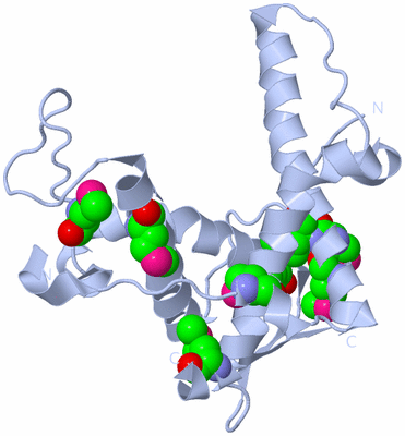 Image Biological Unit 1