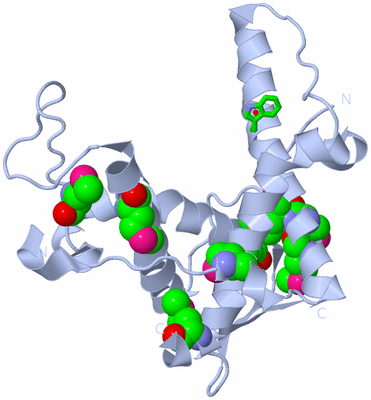 Image Biol. Unit 1 - sites