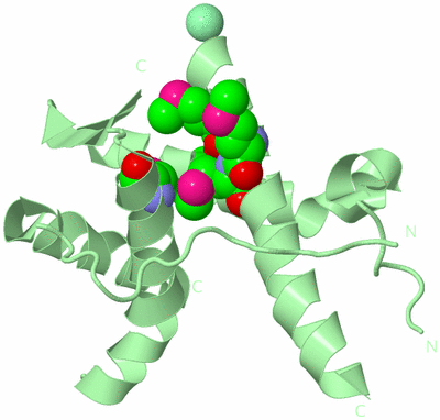 Image Biological Unit 2