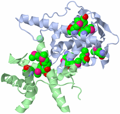 Image Biological Unit 3