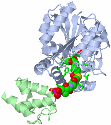 Image Biol. Unit 1 - sites