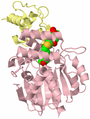 Image Biological Unit 2