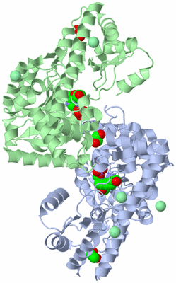 Image Asym./Biol. Unit