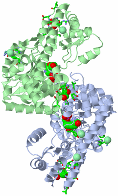 Image Asym./Biol. Unit - sites