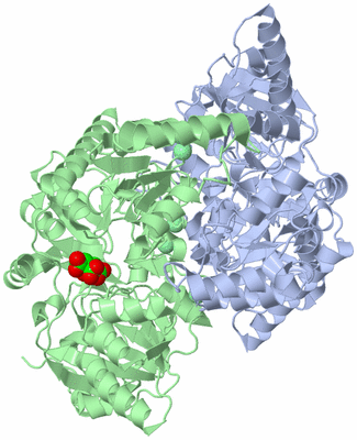 Image Asym./Biol. Unit