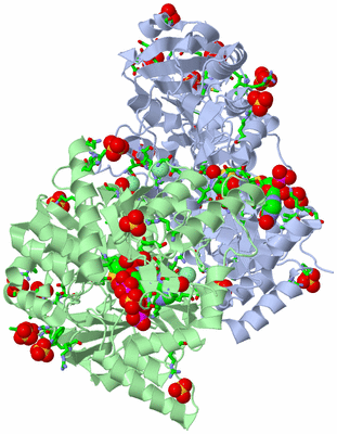 Image Asym./Biol. Unit - sites