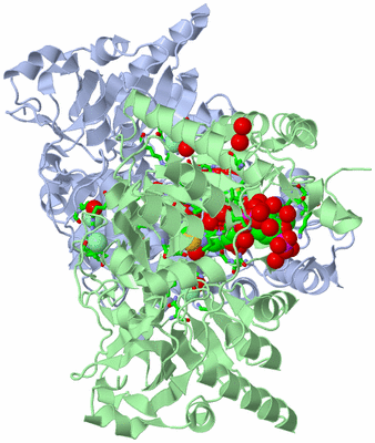 Image Asym./Biol. Unit - sites