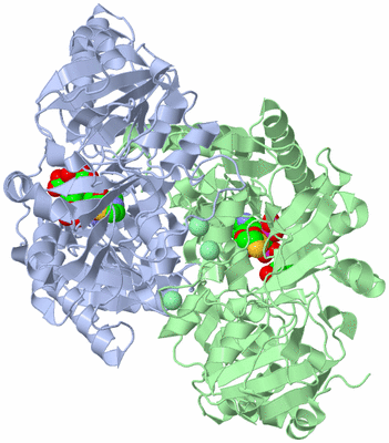 Image Asym./Biol. Unit