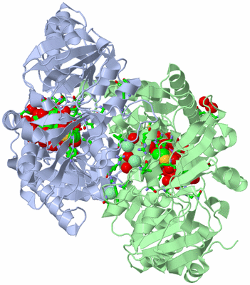 Image Asym./Biol. Unit - sites