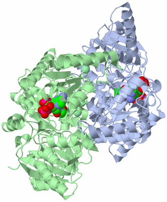 Image Asym./Biol. Unit