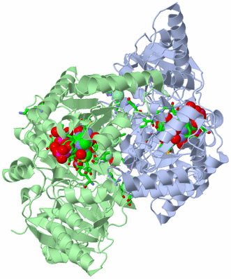 Image Asym./Biol. Unit - sites