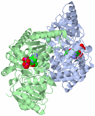 Image Asym./Biol. Unit