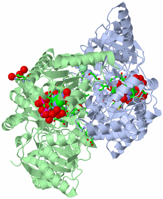 Image Asym./Biol. Unit - sites