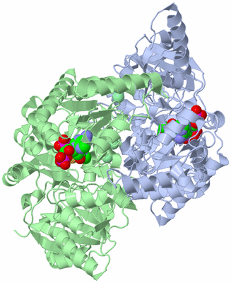 Image Asym./Biol. Unit