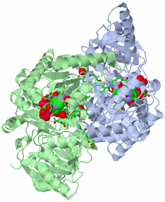 Image Asym./Biol. Unit - sites