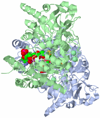 Image Asym./Biol. Unit