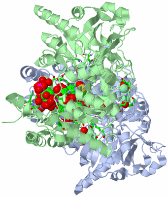 Image Asym./Biol. Unit - sites