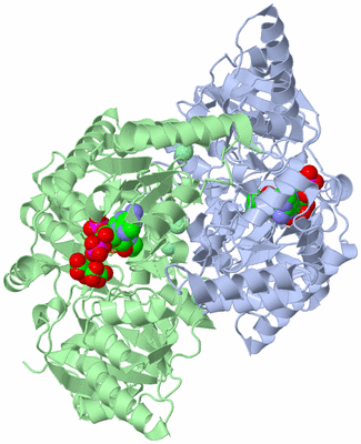 Image Asym./Biol. Unit