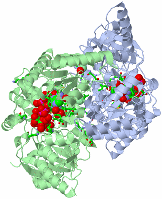 Image Asym./Biol. Unit - sites