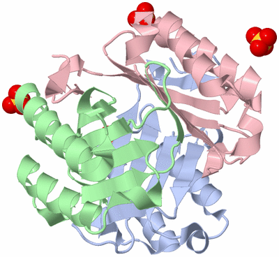 Image Asym./Biol. Unit