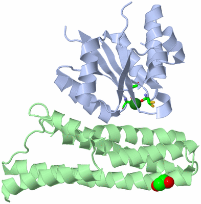Image Asym./Biol. Unit - sites