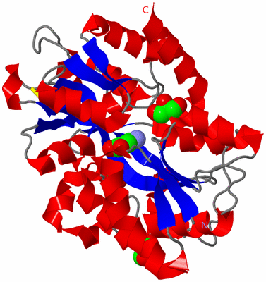 Image Asym./Biol. Unit