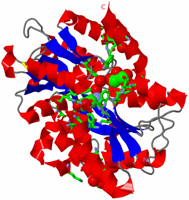 Image Asym./Biol. Unit - sites