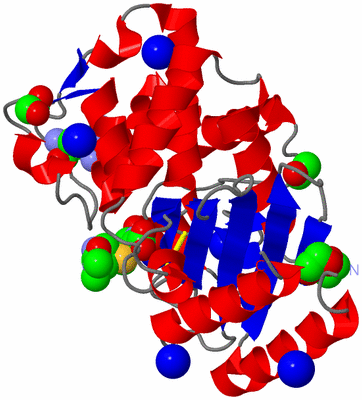 Image Asym./Biol. Unit