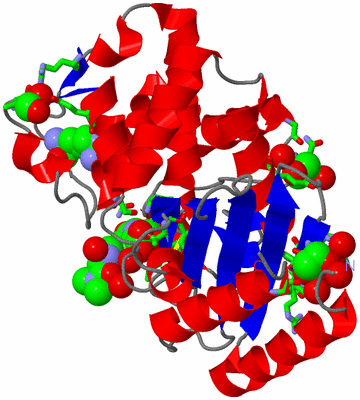 Image Asym./Biol. Unit - sites