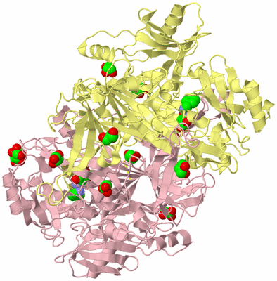 Image Biological Unit 2