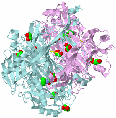 Image Biological Unit 3