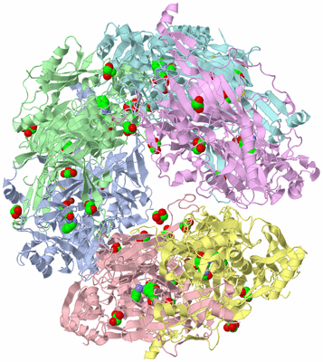 Image Biological Unit 4