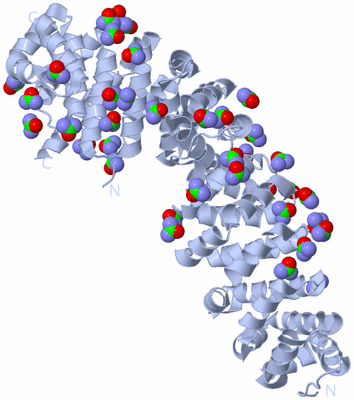 Image Biological Unit 1