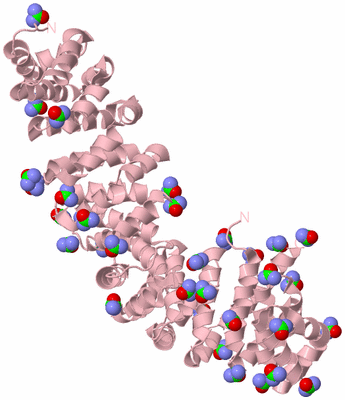 Image Biological Unit 2