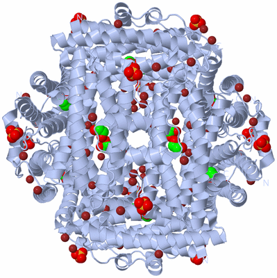 Image Biological Unit 1