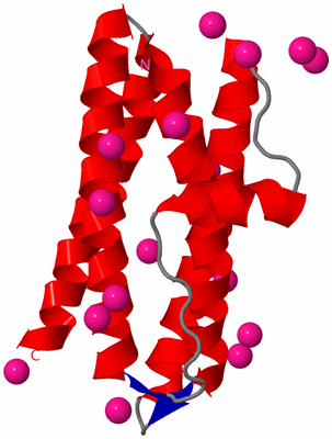 Image Asymmetric Unit