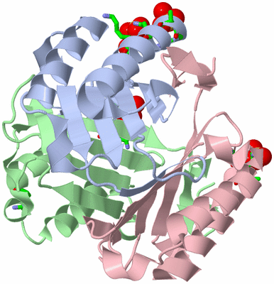 Image Asym./Biol. Unit - sites