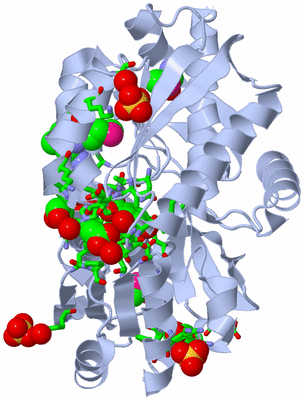 Image Biol. Unit 1 - sites