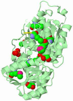 Image Biological Unit 2