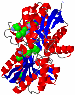 Image Asym./Biol. Unit