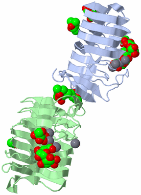 Image Biological Unit 3