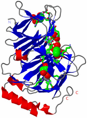 Image Asym./Biol. Unit - sites