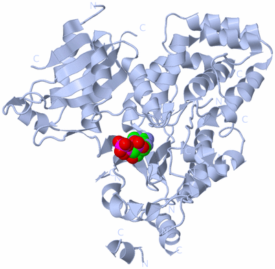 Image Biological Unit 1