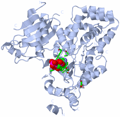 Image Biol. Unit 1 - sites