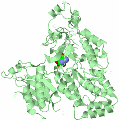 Image Biological Unit 2